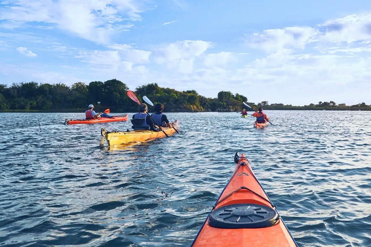 Kayak de mer autour de l'île