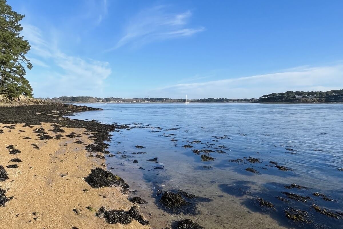 Séance de yoga face à l'océan