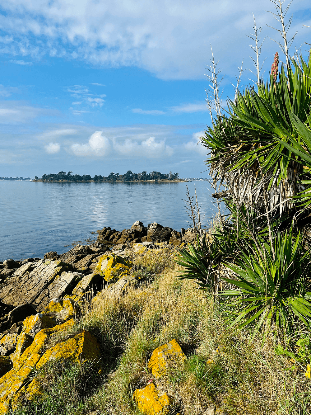Rivage de l'île de Radenec